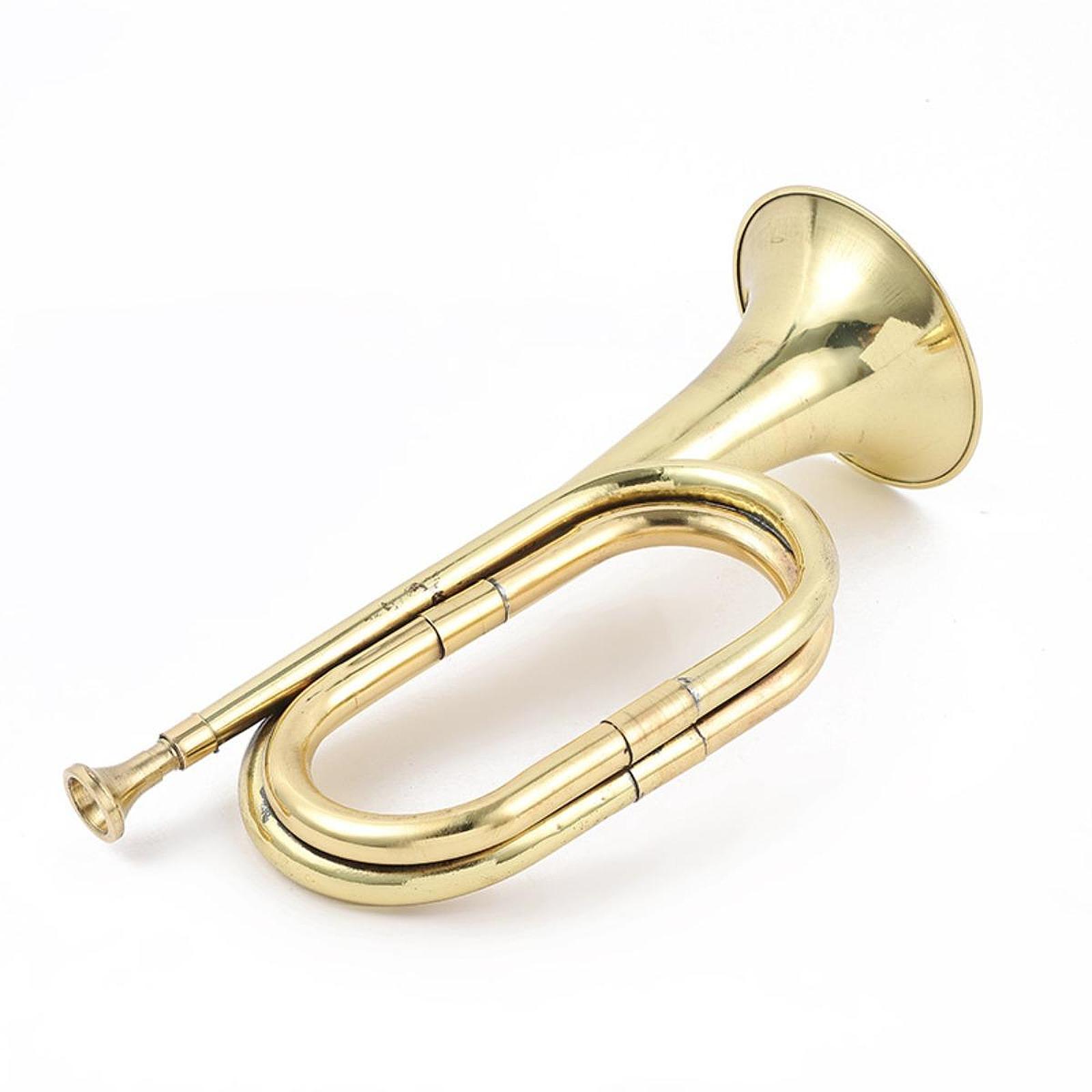 Instrumento de viento de cobre - Event & Party Supply Photos reseña y precio